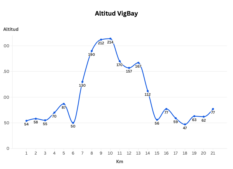 altitud VigBay